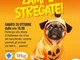 Taggia: al Pet Store di Arma sfilata di Halloween dedicata ai nostri amici a 4 zampe Taggia: al Pet Store di Arma sfilata di Halloween dedicata ai nostri amici a 4 zampe