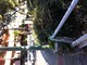 Sanremo: degrado a abbandono in via Padre Semeria, la protesta (con foto) di un residente