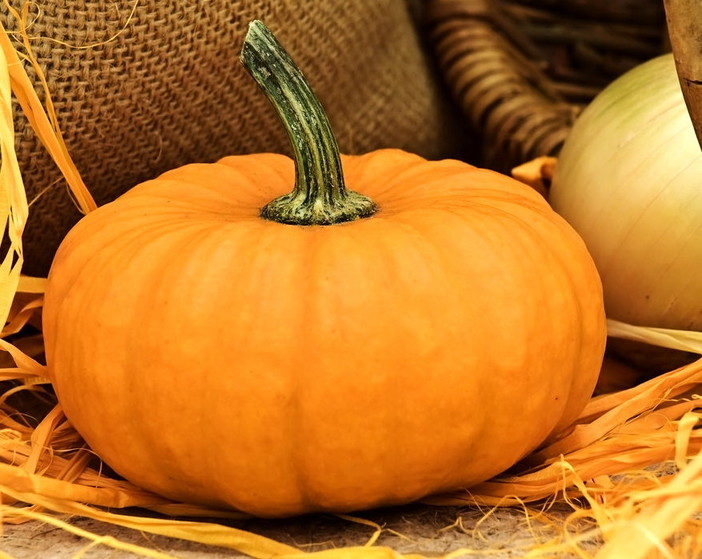 Vallecrosia, la pioggia ferma la 'Festa della Zucca'. Biancheri: "L'evento è annullato"