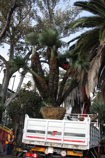 Sanremo: lavori a parco Marsaglia, intervento di una lettrice