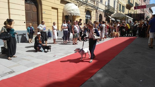 Imperia: un successo "Zampetta Felice" la prima manifestazione della via Cascione pedonalizzata Imperia: un successo "Zampetta Felice" la prima manifestazione della via Cascione pedonalizzata