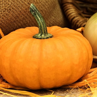 Vallecrosia, la pioggia ferma la 'Festa della Zucca'. Biancheri: "L'evento è annullato"