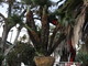 Sanremo: lavori a parco Marsaglia, intervento di una lettrice Sanremo: lavori a parco Marsaglia, intervento di una lettrice